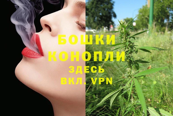 мяу мяу кристалл Иннополис