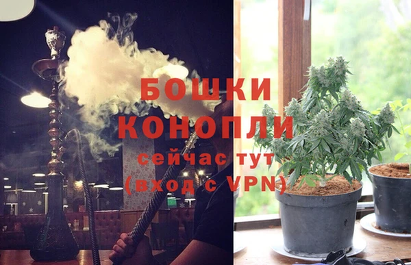 первитин Инсар