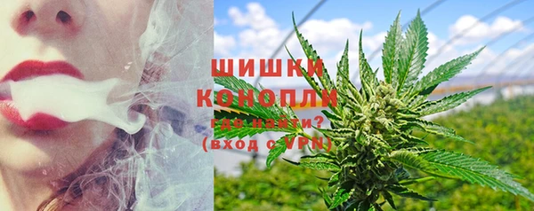 mdpv Каменка