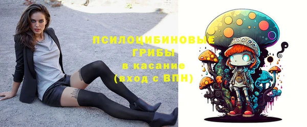 стаф Каменск-Шахтинский
