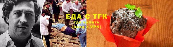 первитин Инсар